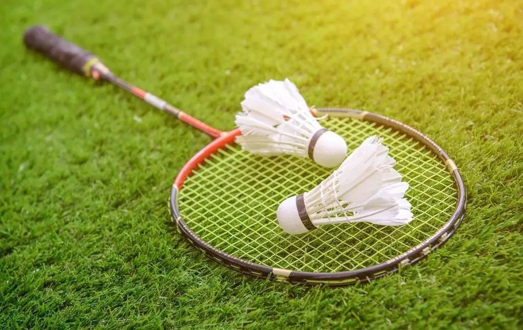 都有不错的 都有不错的